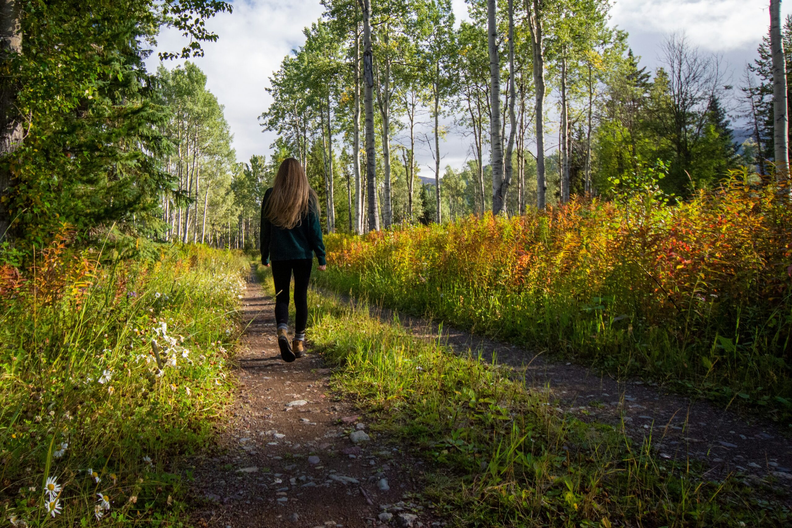 A person walking in nature by themself